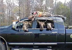 加拿大出国劳务